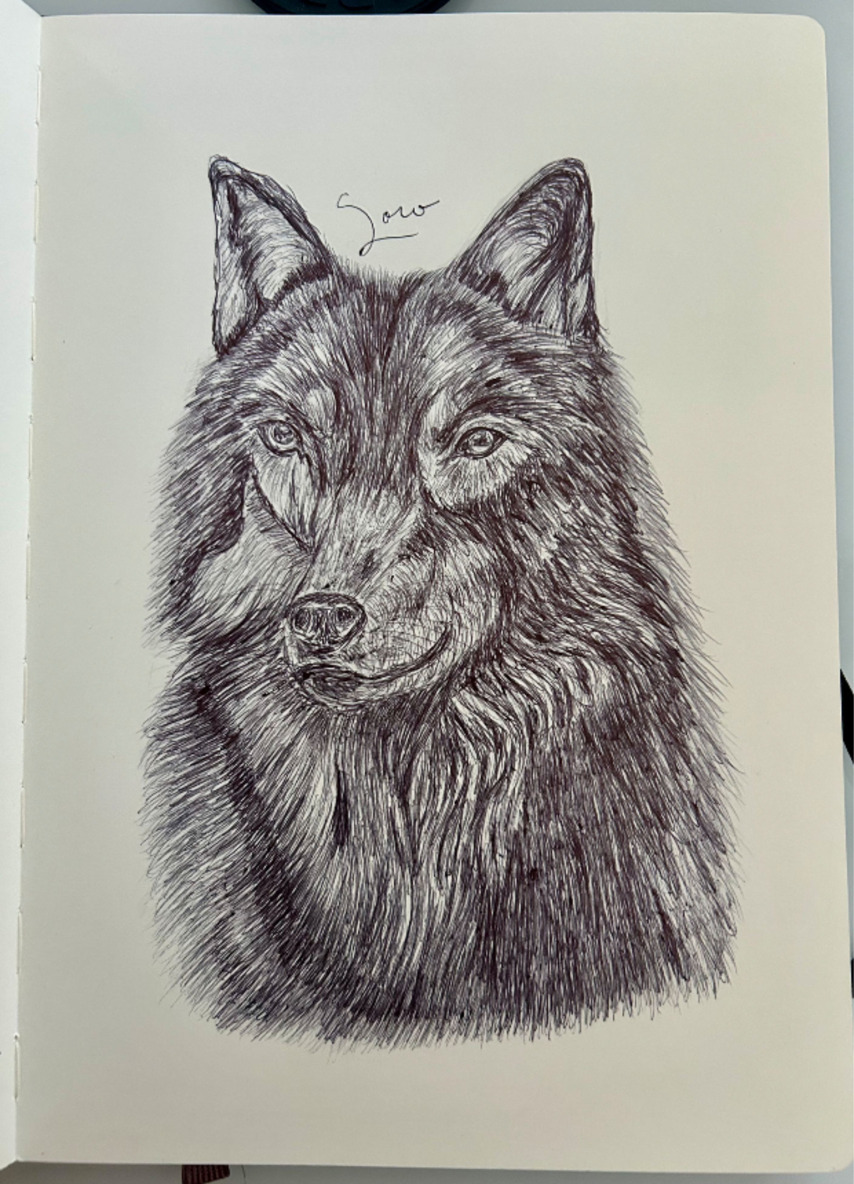 Ballpen Wolf 🐺