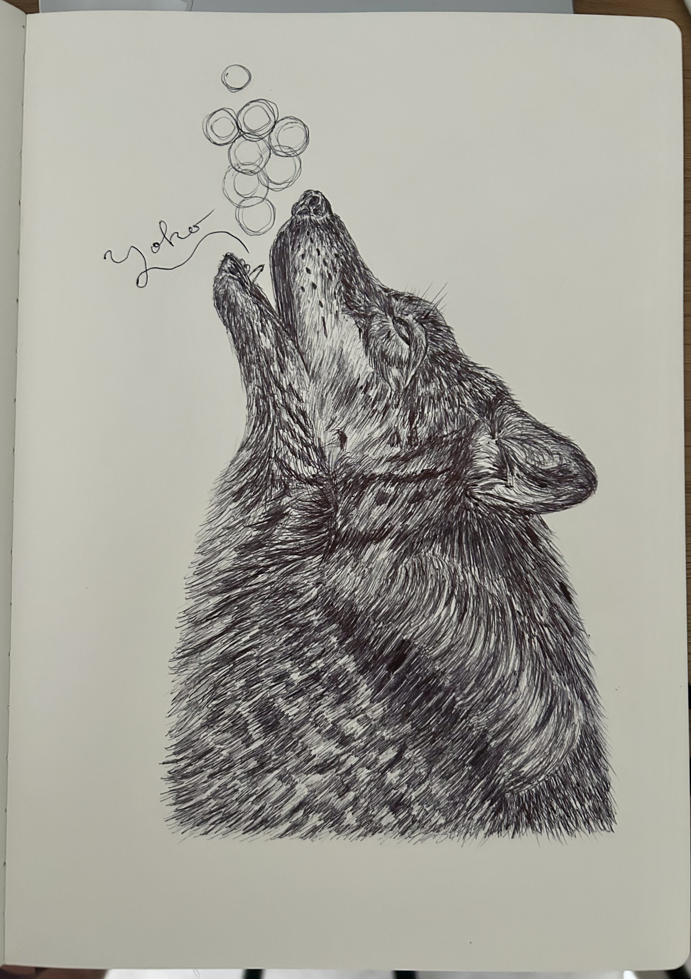 Ballpen Wolf 🐺