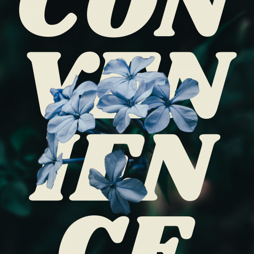 Poster #13 from 30 Day Posters (Self-initiated)