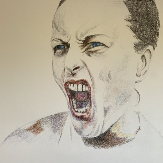 An artist interpretation in pencil work.